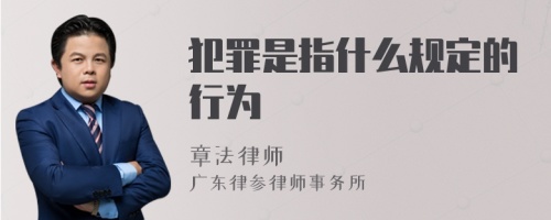 犯罪是指什么规定的行为