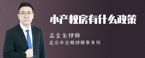 小产权房有什么政策