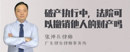 破产执行中，法院可以撤销他人的财产吗