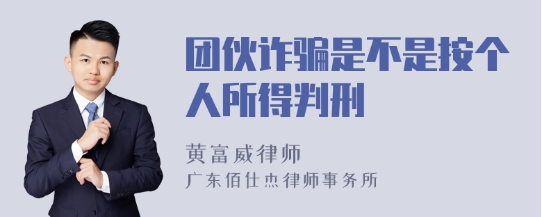 团伙诈骗是不是按个人所得判刑