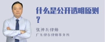 什么是公开透明原则？