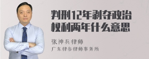 判刑12年剥夺政治权利两年什么意思