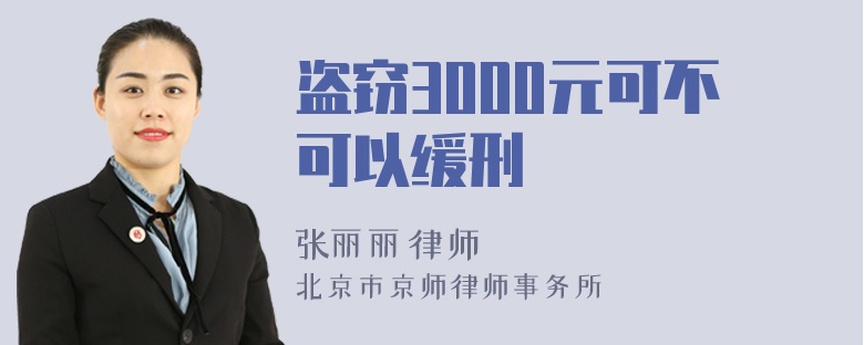 盗窃3000元可不可以缓刑