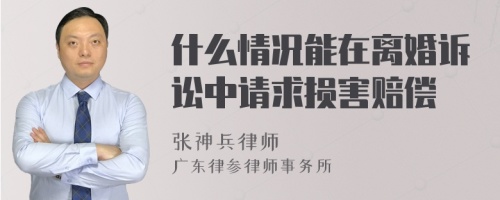 什么情况能在离婚诉讼中请求损害赔偿