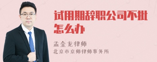 试用期辞职公司不批怎么办