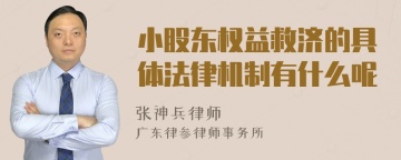 小股东权益救济的具体法律机制有什么呢