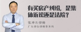 有买房产纠纷，是集体诉讼还是法院？