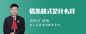 借条格式是什么样