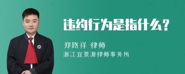 违约行为是指什么？