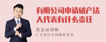 有限公司申请破产法人代表有什么责任