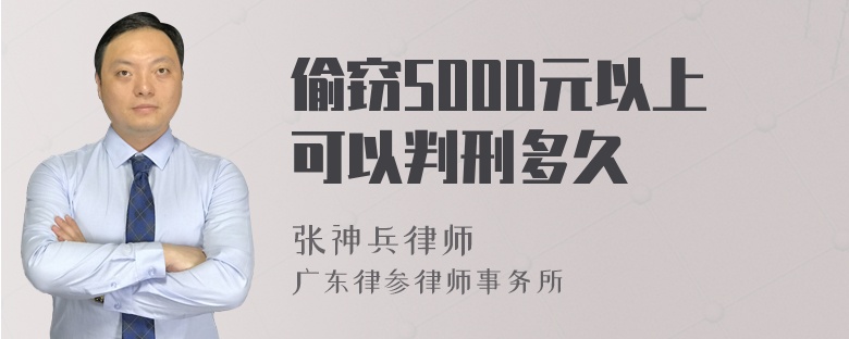 偷窃5000元以上可以判刑多久