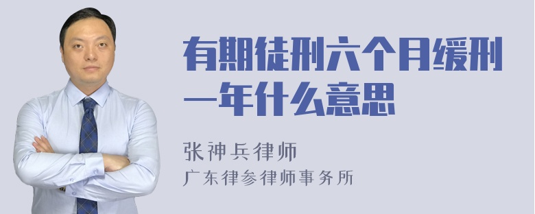 有期徒刑六个月缓刑一年什么意思