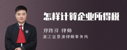 怎样计算企业所得税