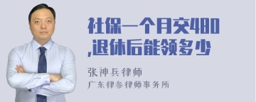 社保一个月交480,退休后能领多少