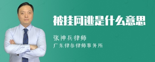 被挂网逃是什么意思