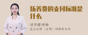 抚养费的支付标准是什么