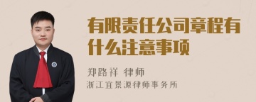 有限责任公司章程有什么注意事项