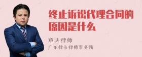 终止诉讼代理合同的原因是什么