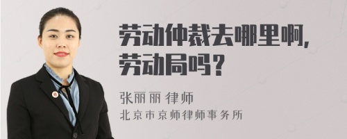 劳动仲裁去哪里啊，劳动局吗？