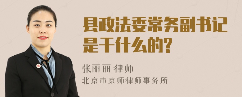 县政法委常务副书记是干什么的?