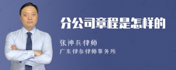 分公司章程是怎样的