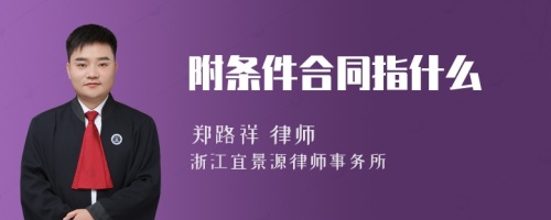 附条件合同指什么