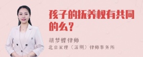 孩子的抚养权有共同的么？