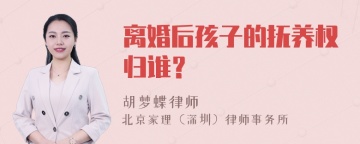 离婚后孩子的抚养权归谁？