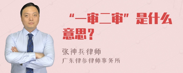 “一审二审”是什么意思？