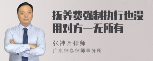 抚养费强制执行也没用对方一无所有