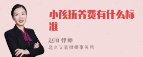 小孩抚养费有什么标准