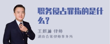 职务侵占罪指的是什么？