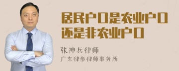 居民户口是农业户口还是非农业户口