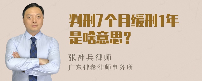 判刑7个月缓刑1年是啥意思？