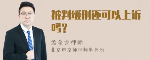 被判缓刑还可以上诉吗？