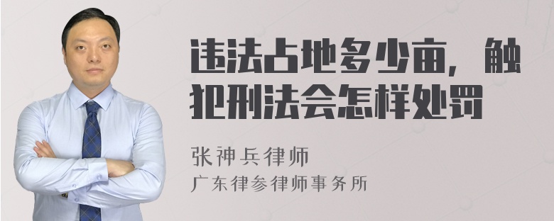 违法占地多少亩，触犯刑法会怎样处罚