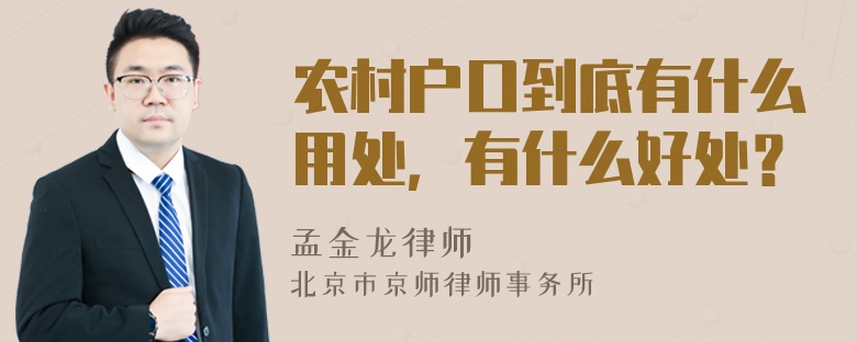 农村户口到底有什么用处，有什么好处？