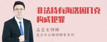 非法持有海洛因几克构成犯罪