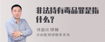 非法持有毒品罪是指什么？