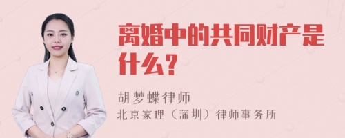 离婚中的共同财产是什么？