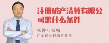 注册破产清算有限公司需什么条件