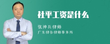 社平工资是什么