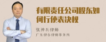 有限责任公司股东如何行使表决权