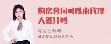 购房合同可以由代理人签订吗