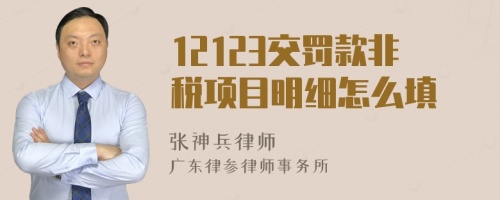 12123交罚款非税项目明细怎么填