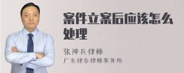 案件立案后应该怎么处理