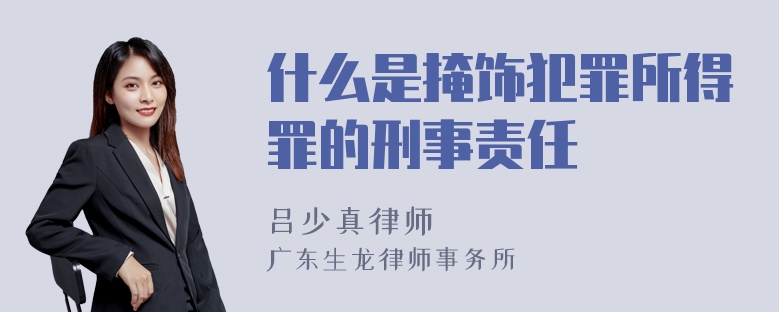 什么是掩饰犯罪所得罪的刑事责任