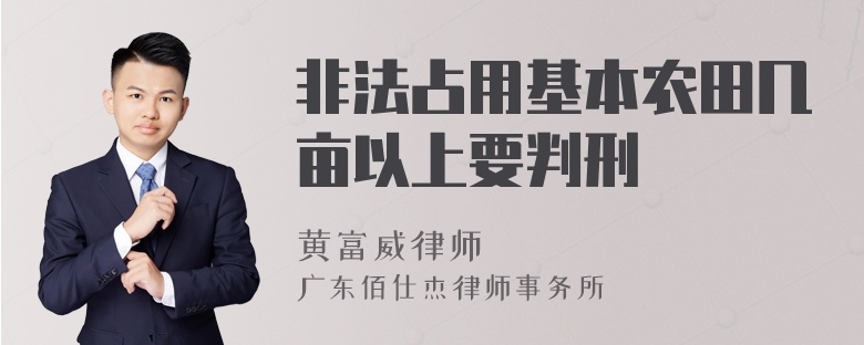 非法占用基本农田几亩以上要判刑