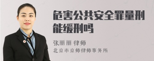 危害公共安全罪量刑能缓刑吗