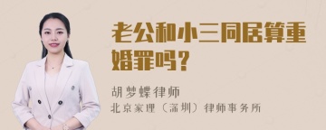 老公和小三同居算重婚罪吗？